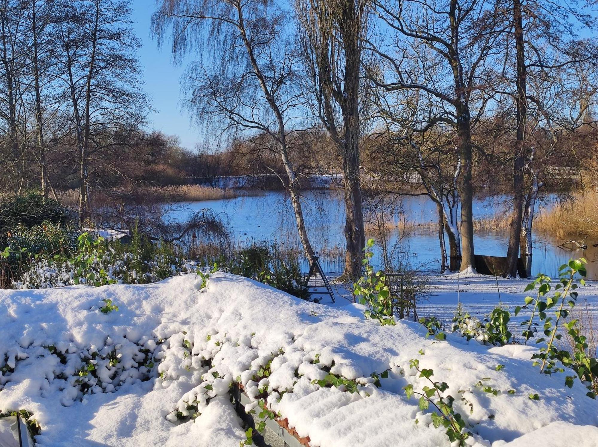 Ferienwohnungen Am Schwanensee Plön Dış mekan fotoğraf